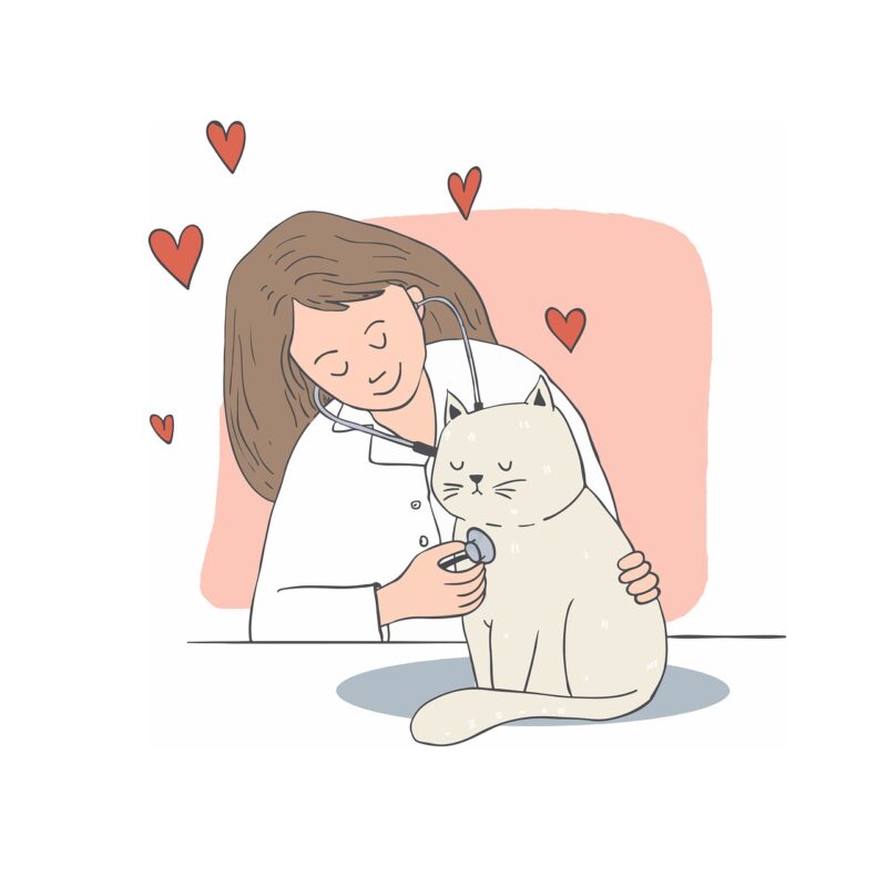 cat love doctor hearts dr 3547088