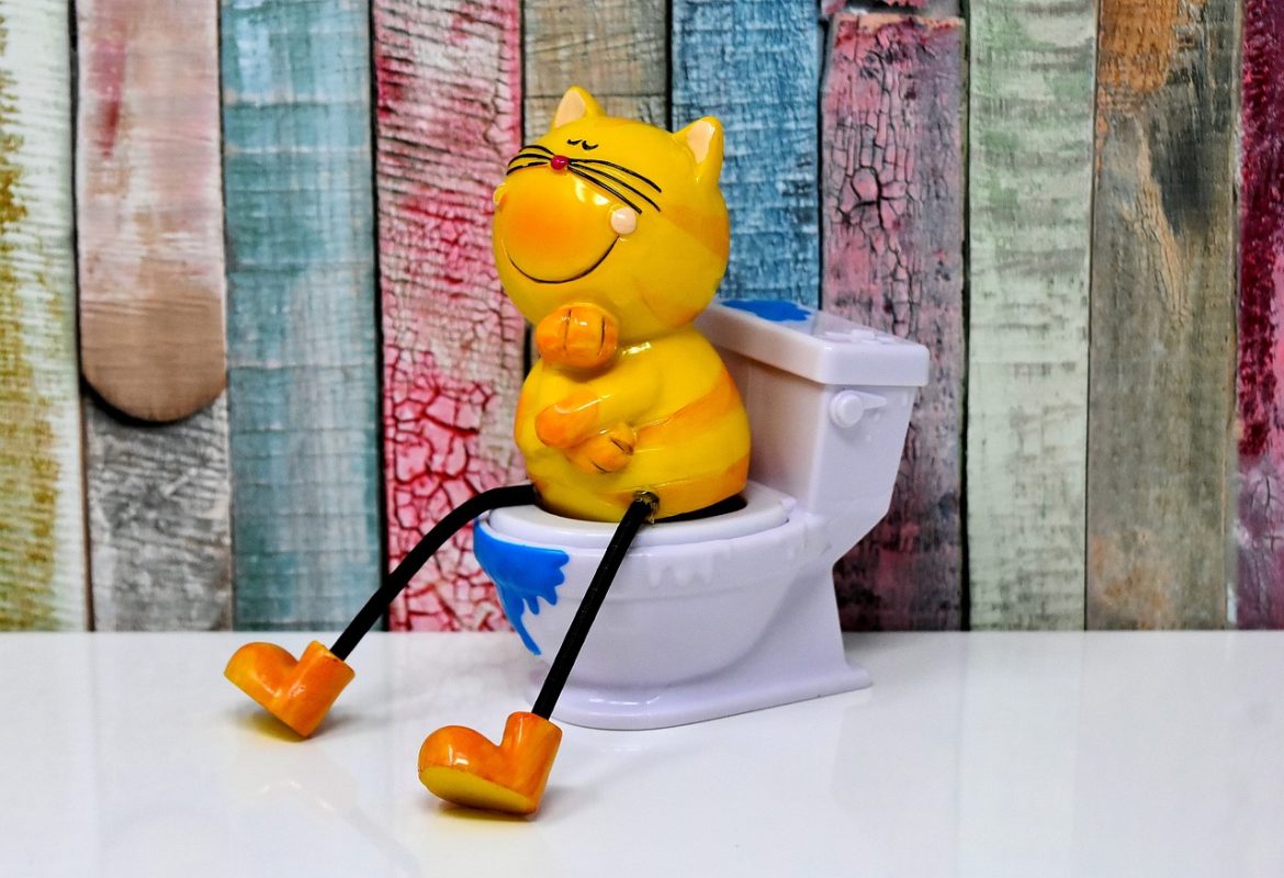 litter box toilet cat figure loo 3298240